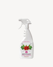 Reinigingsspray voor roestvrijstalen grillroosters
